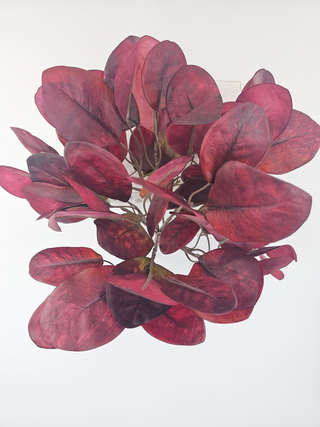 Continus Leaves Bush - Burgundy - Greenery MarketgreeneryFL7030 - WI
