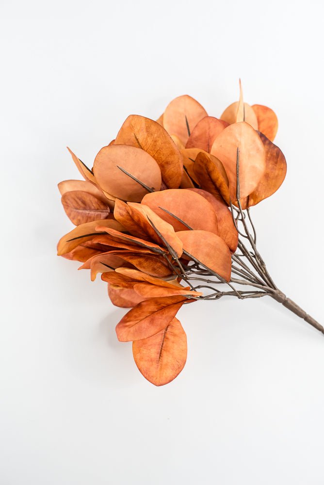 Continus leaves bush - Spice - Greenery MarketgreeneryFL7030 - SPI