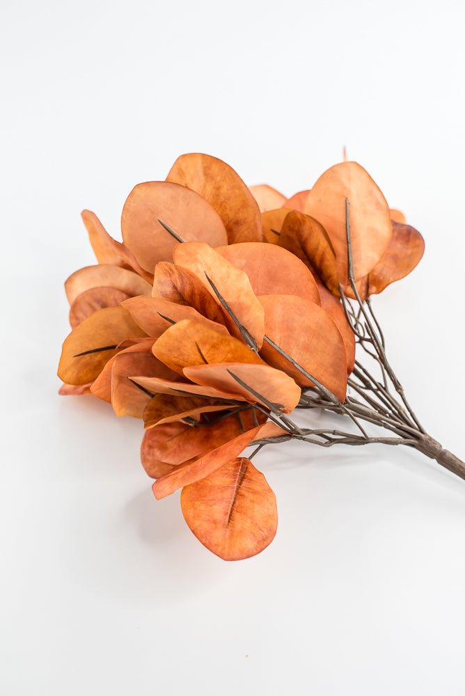 Continus leaves bush - Spice - Greenery MarketgreeneryFL7030 - SPI