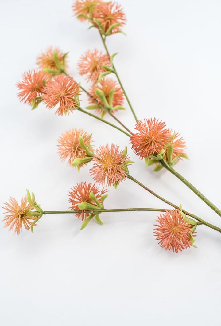 Coral Burr Spray - Greenery Market250660