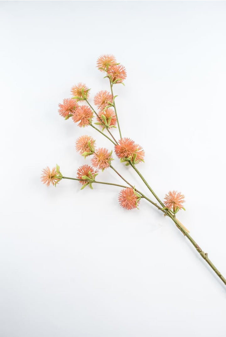 Coral Burr Spray - Greenery Market250660