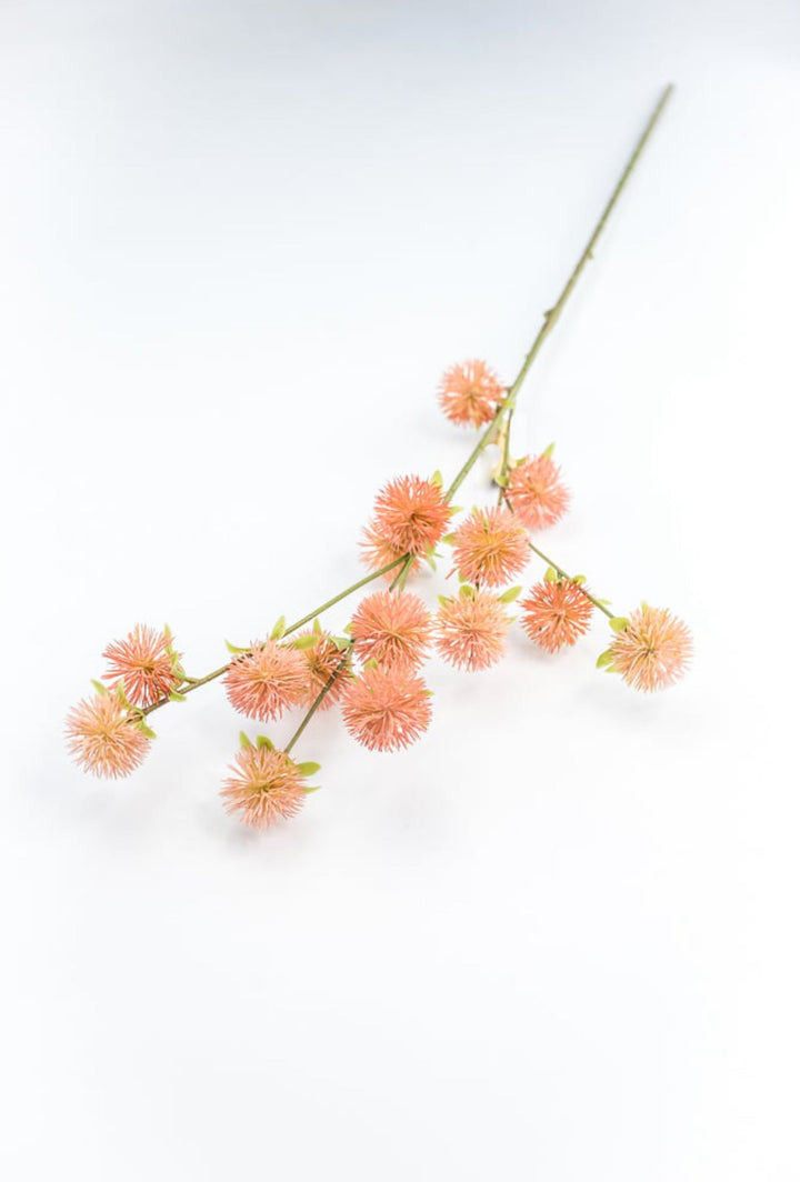 Coral Burr Spray - Greenery Market250660