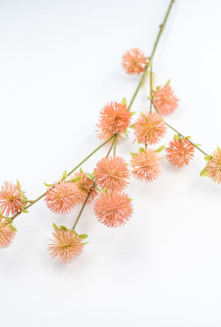 Coral Burr Spray - Greenery Market250660