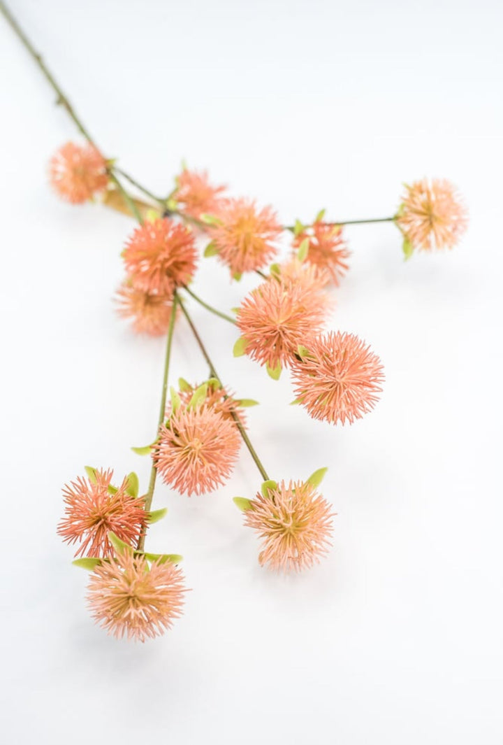 Coral Burr Spray - Greenery Market250660