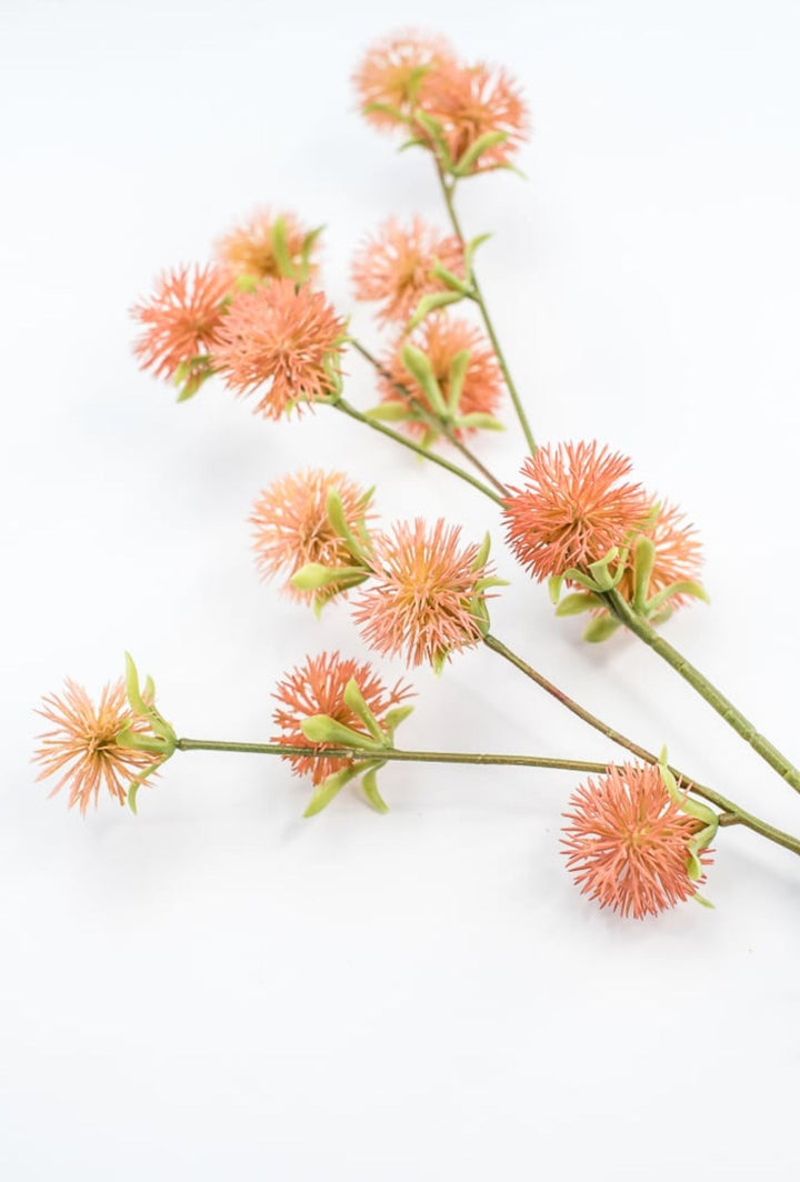 Coral Burr Spray - Greenery Market250660