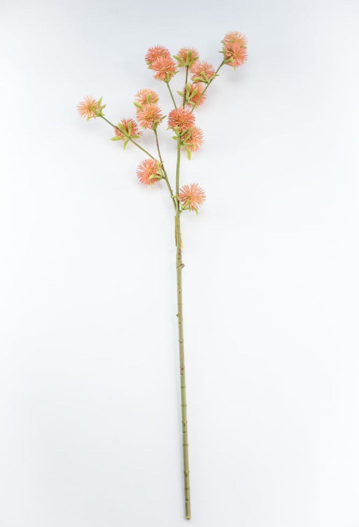 Coral Burr Spray - Greenery Market250660