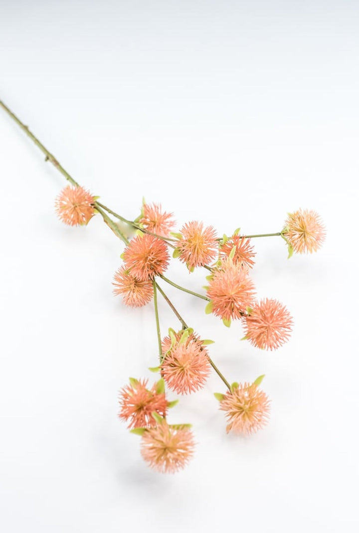 Coral Burr Spray - Greenery Market250660