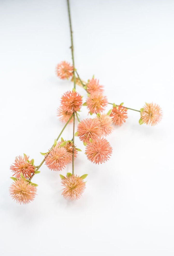 Coral Burr Spray - Greenery Market250660