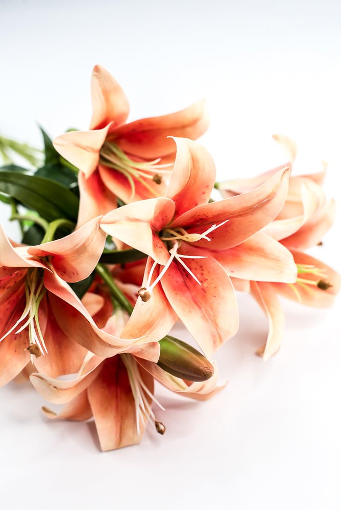 Coral Lily Bush - Greenery MarketArtificial Flora35148CO