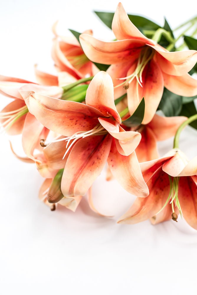 Coral Lily Bush - Greenery MarketArtificial Flora35148CO