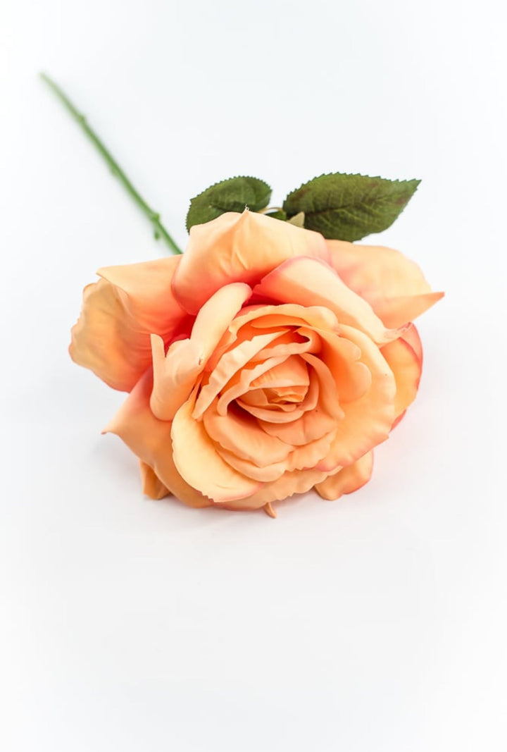 Coral Rose Short Stem - Greenery Market250607