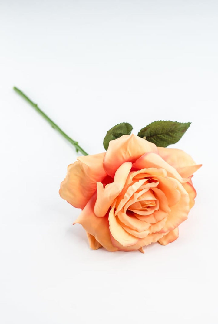 Coral Rose Short Stem - Greenery Market250607