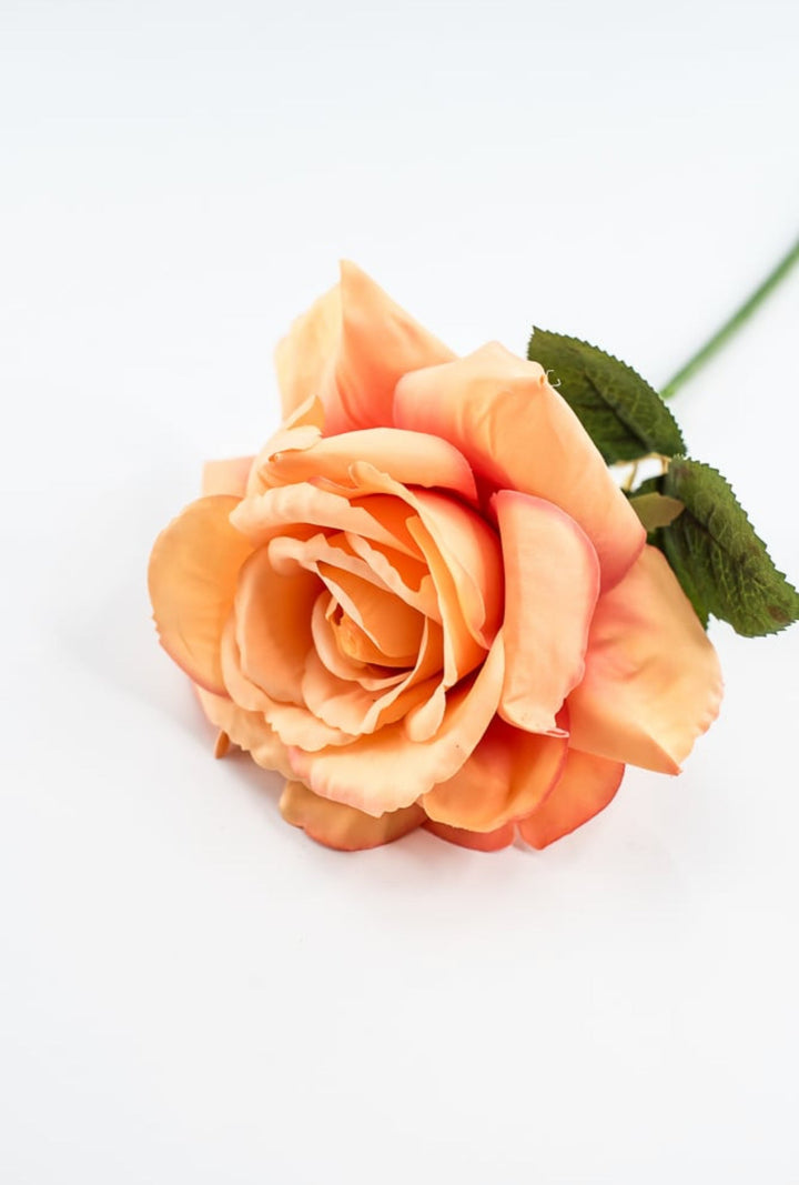 Coral Rose Short Stem - Greenery Market250607