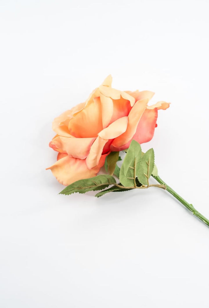 Coral Rose Short Stem - Greenery Market250607