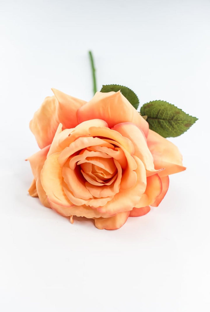 Coral Rose Short Stem - Greenery Market250607