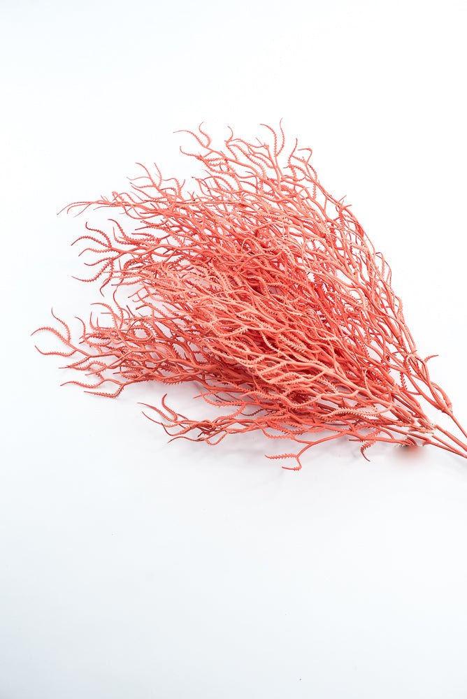 Cottonii seaweed bush - Coral - Greenery MarketGM57097COR