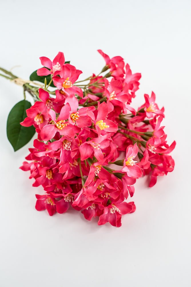 Crabapple bundle - hot pink - Greenery Market2285236HP