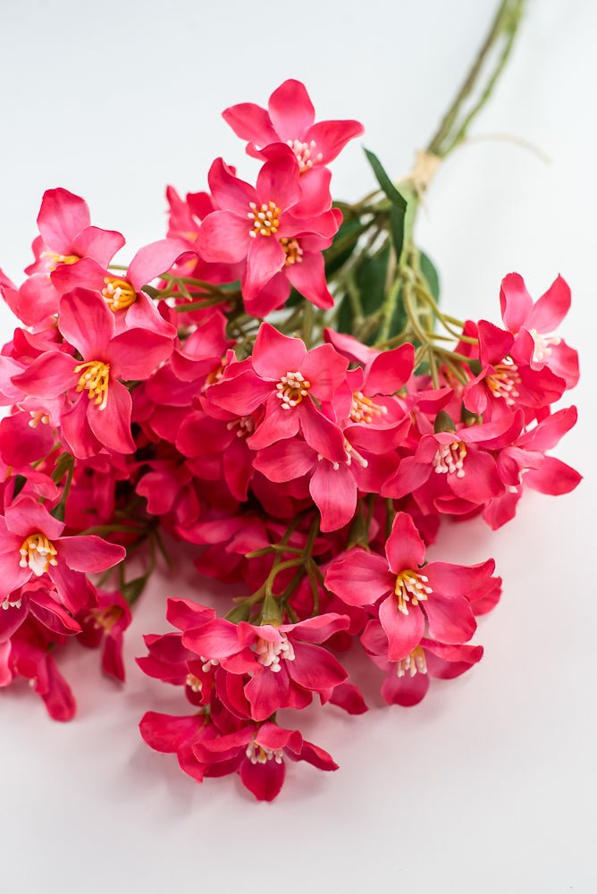 Crabapple bundle - hot pink - Greenery Market2285236HP