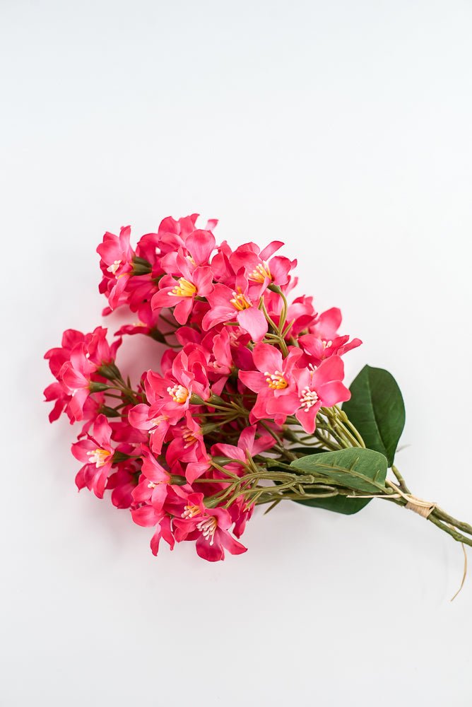 Crabapple bundle - hot pink - Greenery Market2285236HP