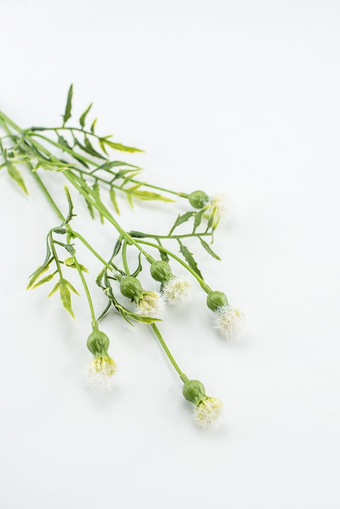 Cream Dandilion Spray - Greenery Marketartificial flowers28343