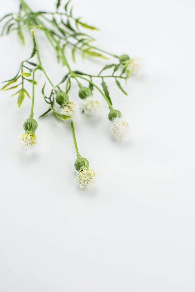 Cream Dandilion Spray - Greenery Marketartificial flowers28343