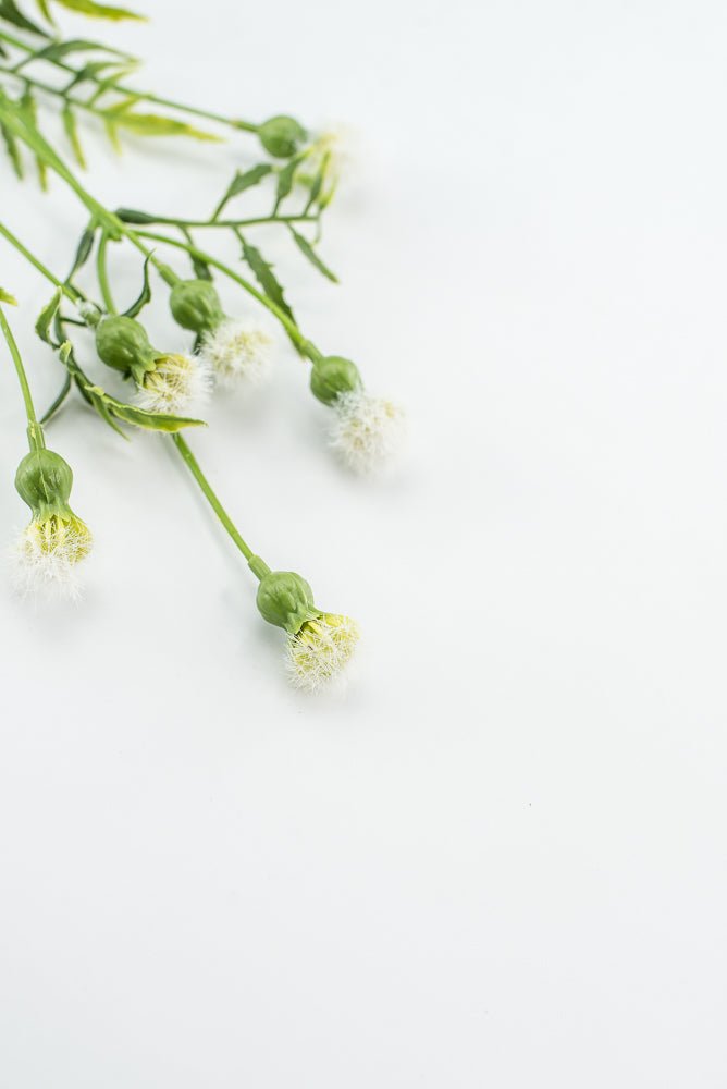 Cream Dandilion Spray - Greenery Marketartificial flowers28343