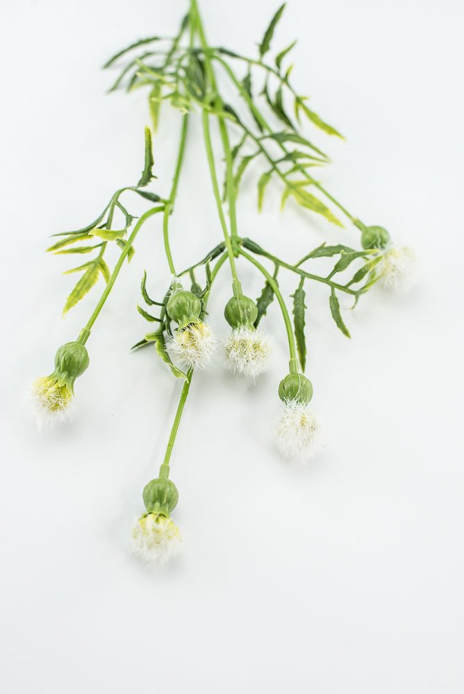 Cream Dandilion Spray - Greenery Marketartificial flowers28343