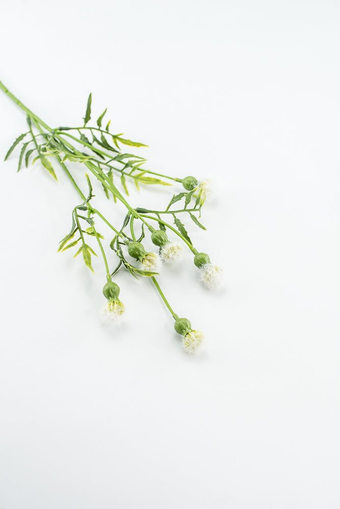 Cream Dandilion Spray - Greenery Marketartificial flowers28343