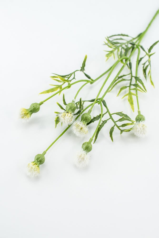 Cream Dandilion Spray - Greenery Marketartificial flowers28343