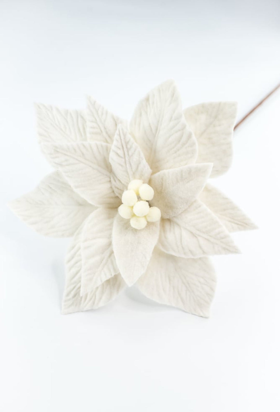 Cream felt poinsettia stem - Greenery MarketXS411461