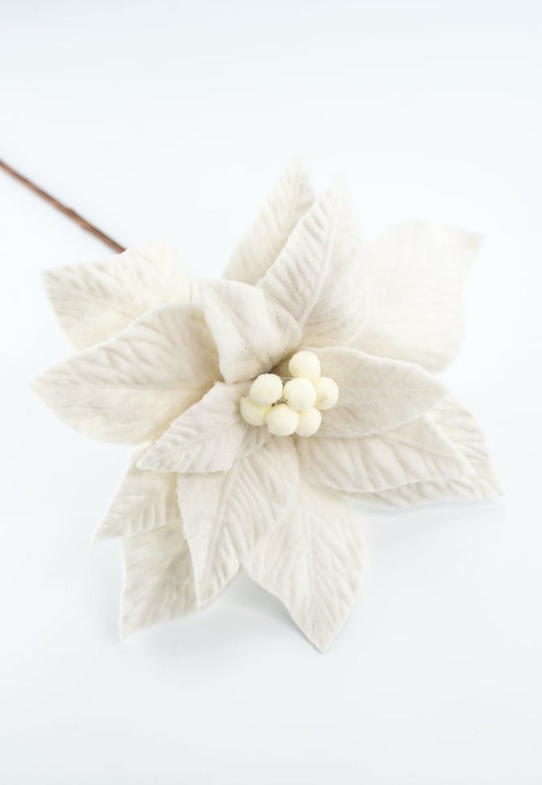 Cream felt poinsettia stem - Greenery MarketXS411461