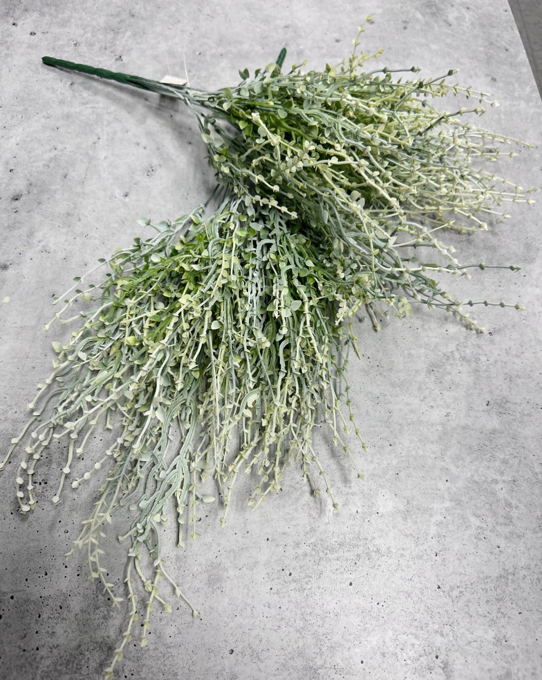 Cream Green greenery grass bush x 2 bushes - Greenery Marketgreenery43664