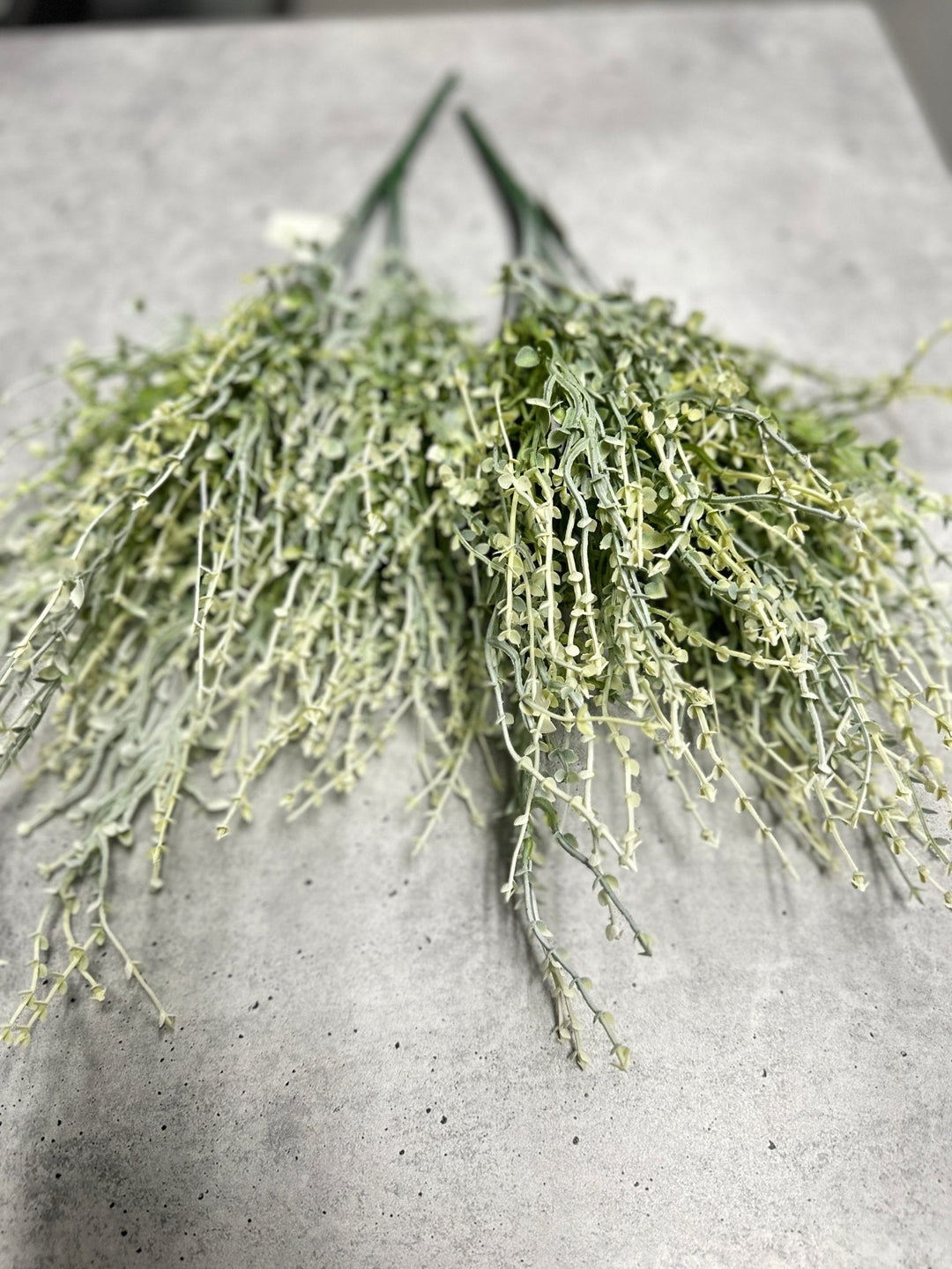 Cream Green greenery grass bush x 2 bushes - Greenery Marketgreenery43664