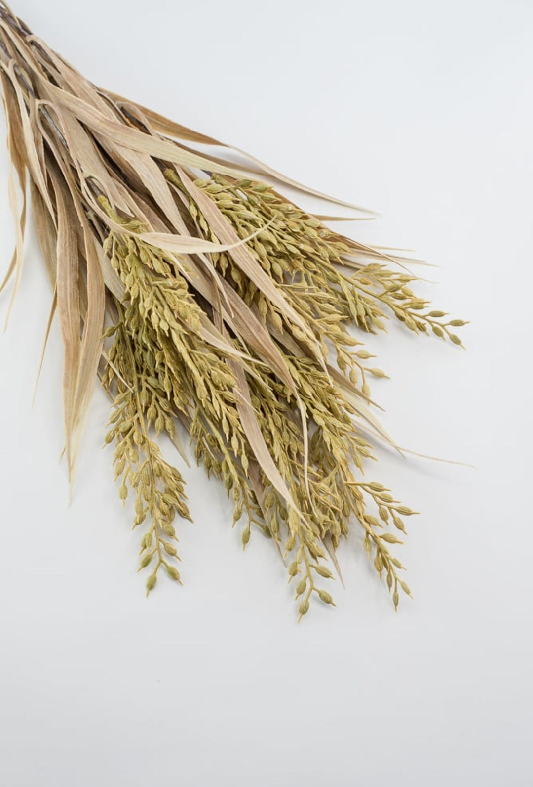 Cream mustard wheat grass bush - Greenery MarketArtificial Flora26475