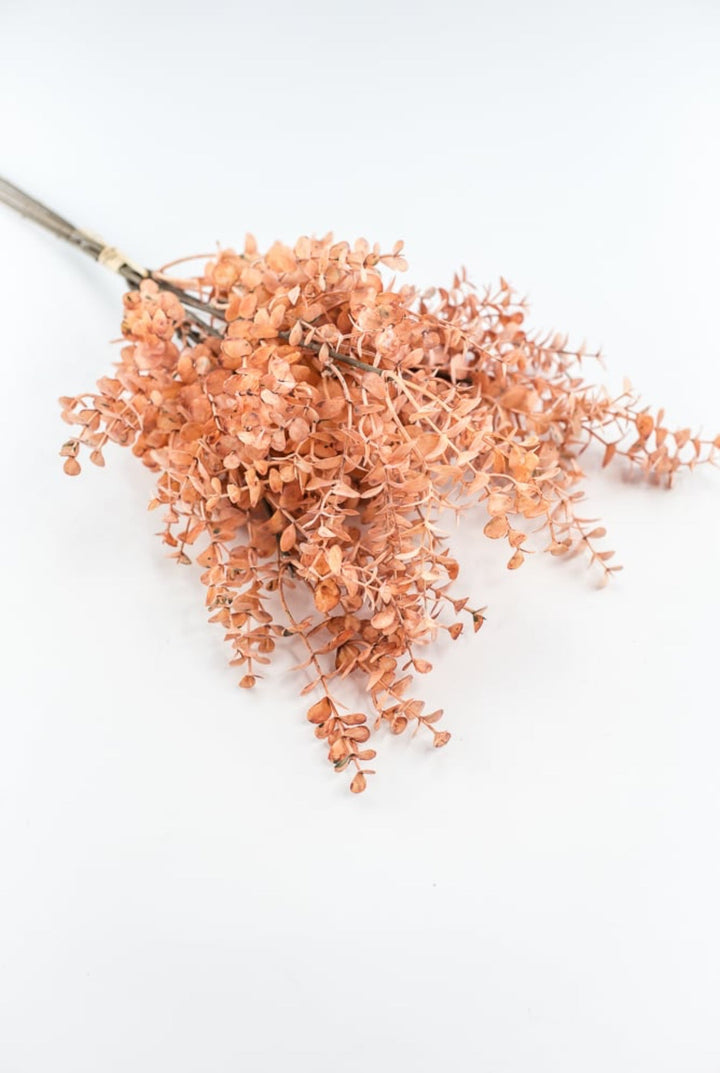 Creamy Peach Eucalytpus Bundle - Greenery Market27884