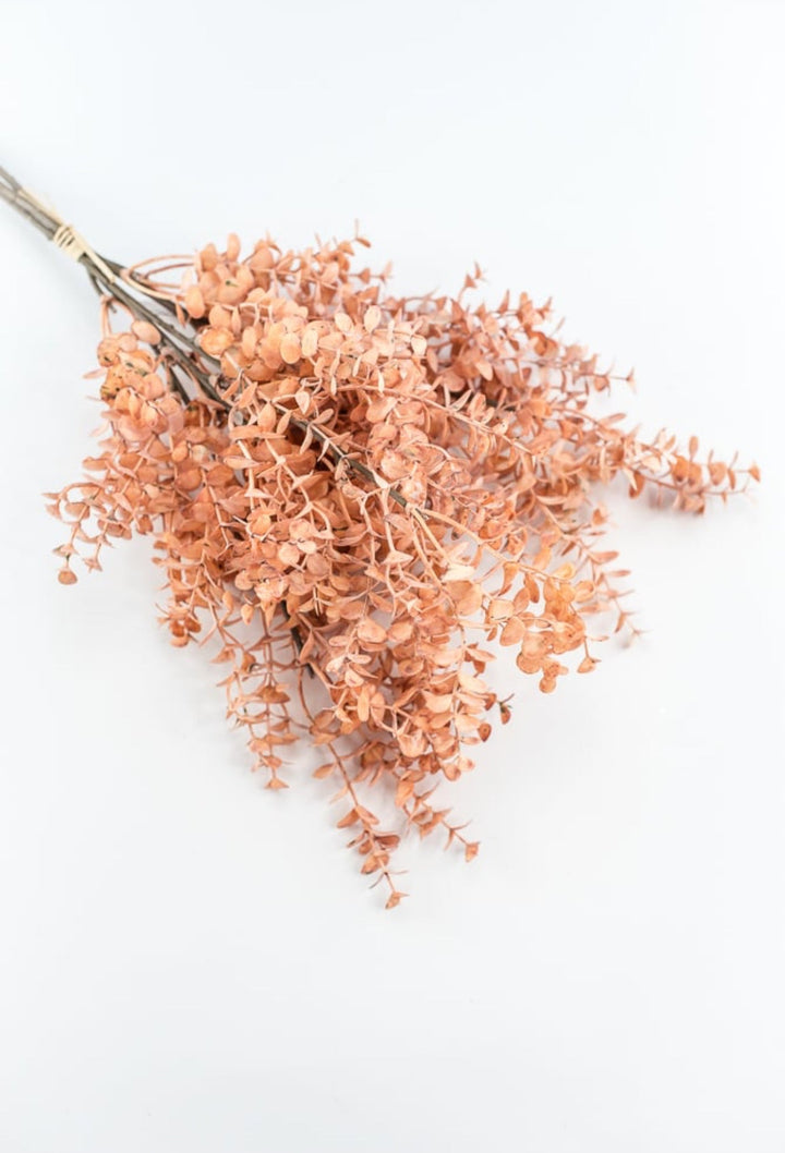 Creamy Peach Eucalytpus Bundle - Greenery Market27884