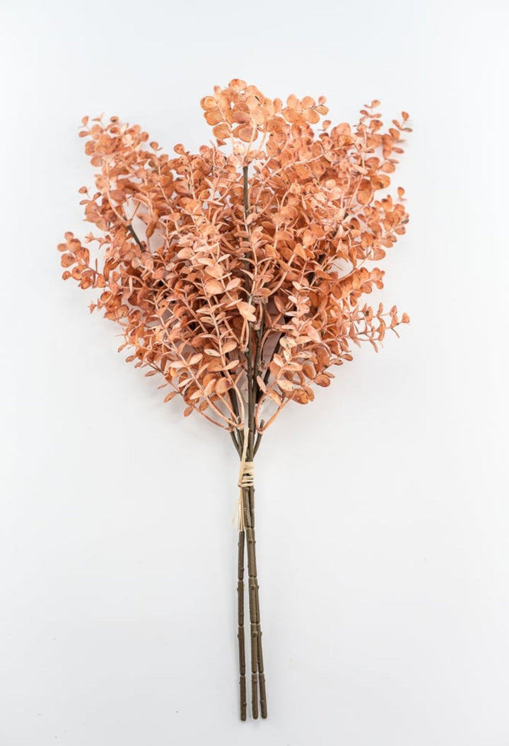 Creamy Peach Eucalytpus Bundle - Greenery Market27884