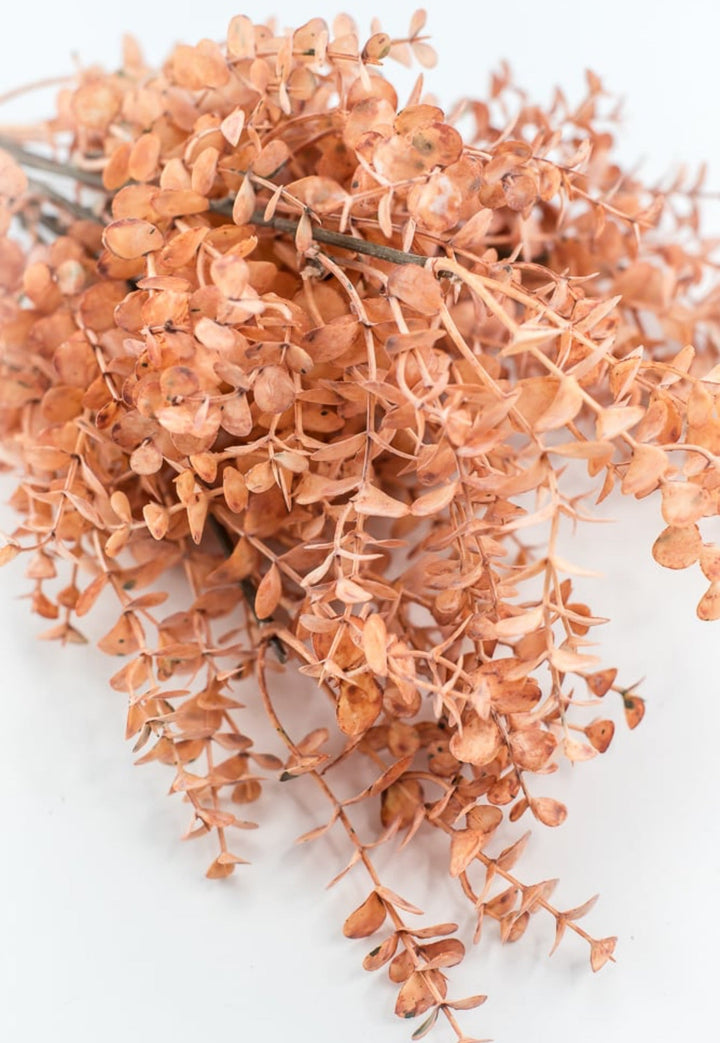 Creamy Peach Eucalytpus Bundle - Greenery Market27884