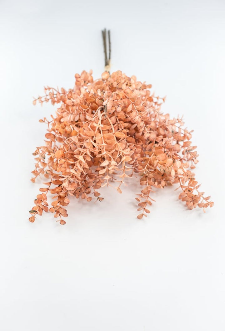 Creamy Peach Eucalytpus Bundle - Greenery Market27884