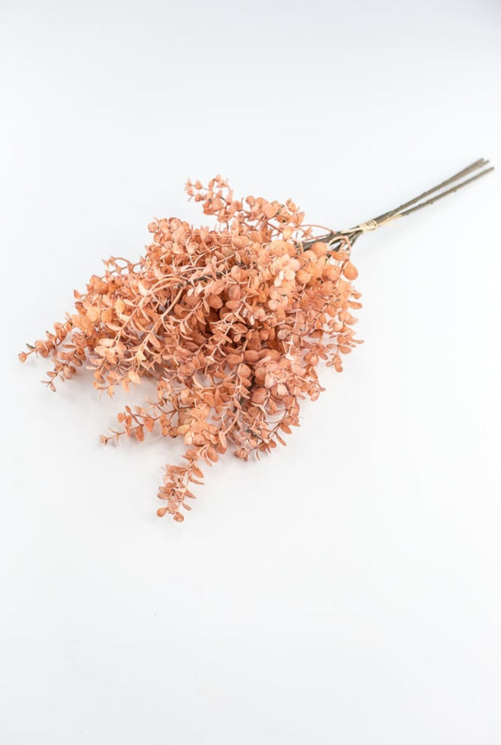 Creamy Peach Eucalytpus Bundle - Greenery Market27884