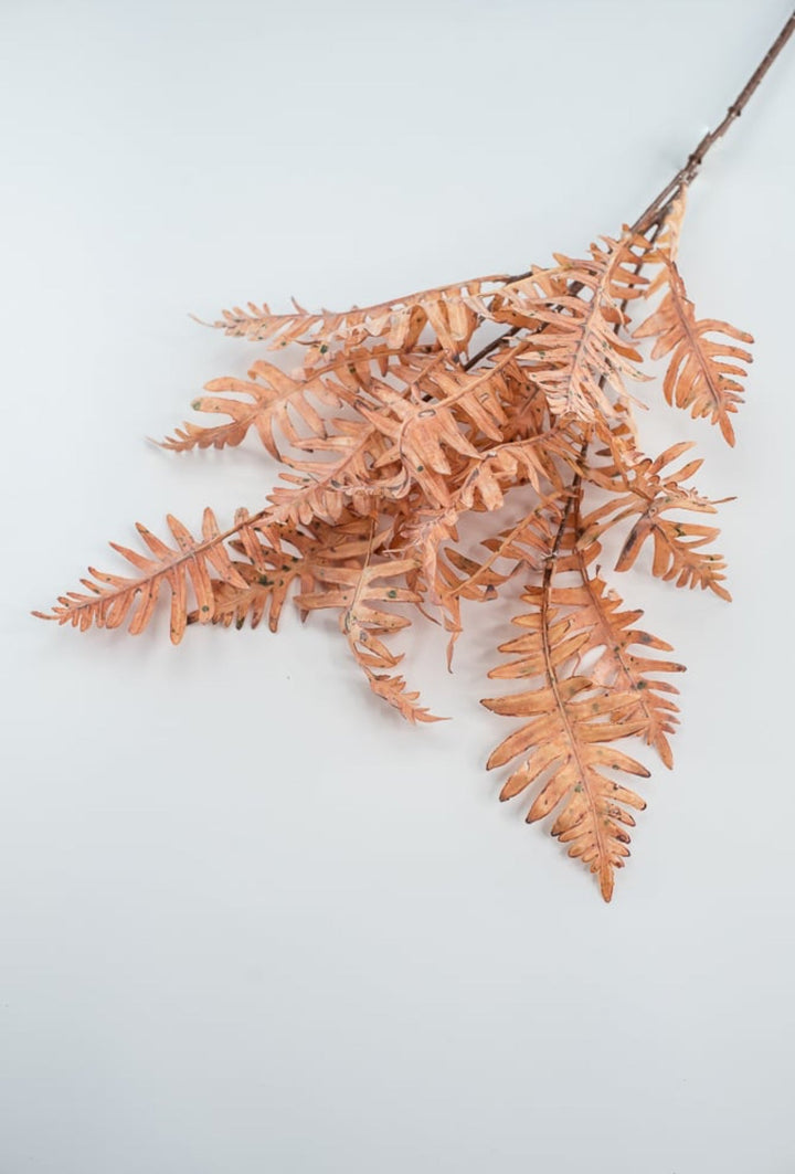 Creamy Peach Fern Spray - Greenery Market27879