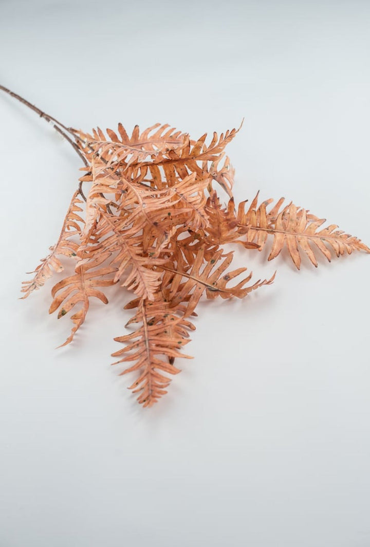 Creamy Peach Fern Spray - Greenery Market27879