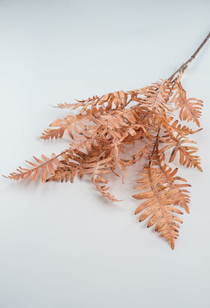 Creamy Peach Fern Spray - Greenery Market27879