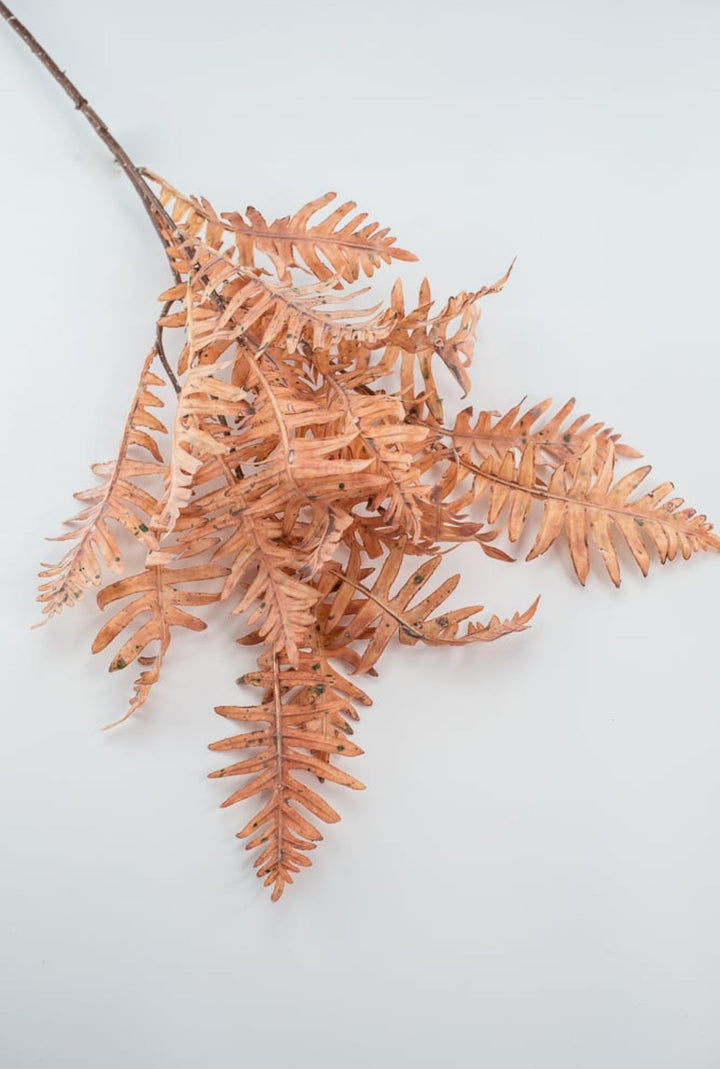 Creamy Peach Fern Spray - Greenery Market27879