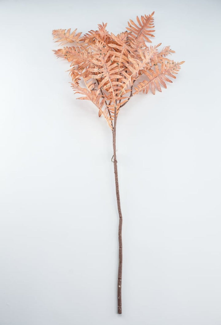 Creamy Peach Fern Spray - Greenery Market27879