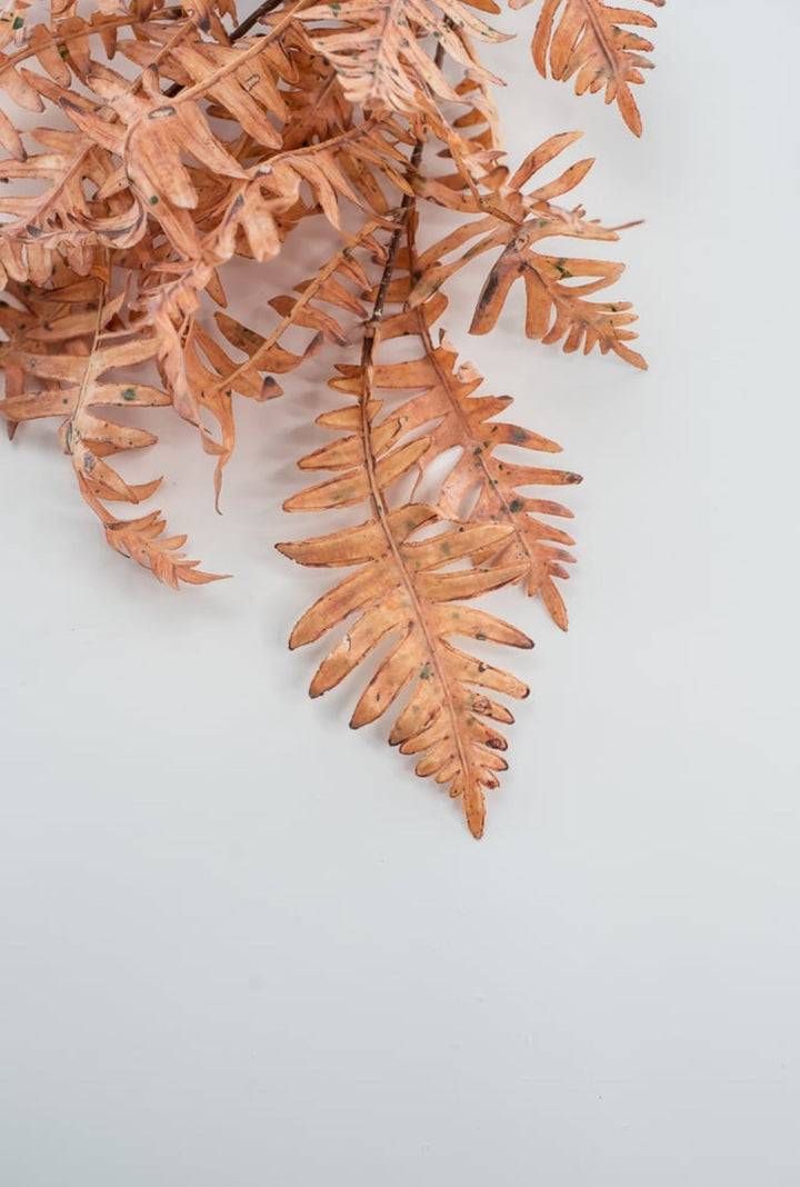 Creamy Peach Fern Spray - Greenery Market27879