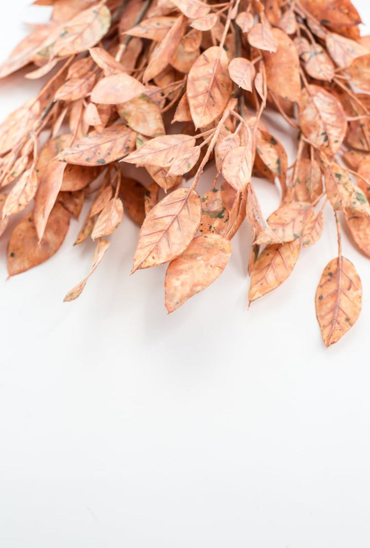 Creamy Peach Leaves Bundle - Greenery Market27874