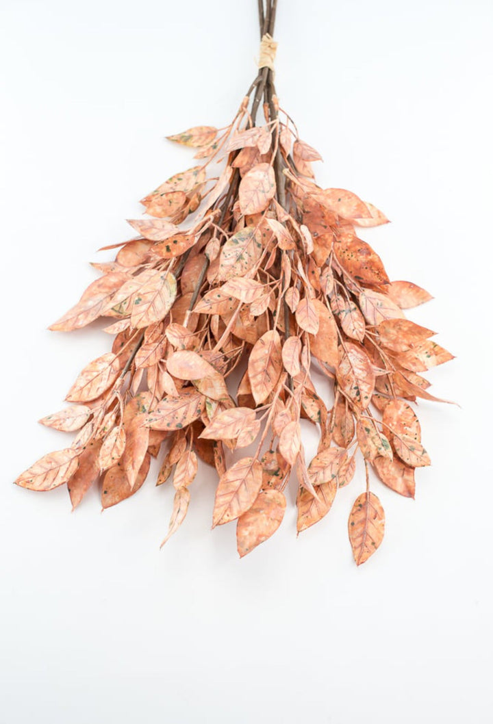 Creamy Peach Leaves Bundle - Greenery Market27874