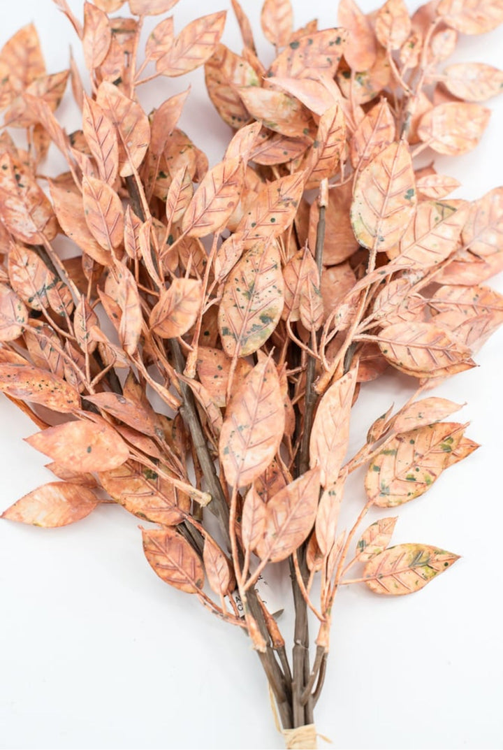 Creamy Peach Leaves Bundle - Greenery Market27874
