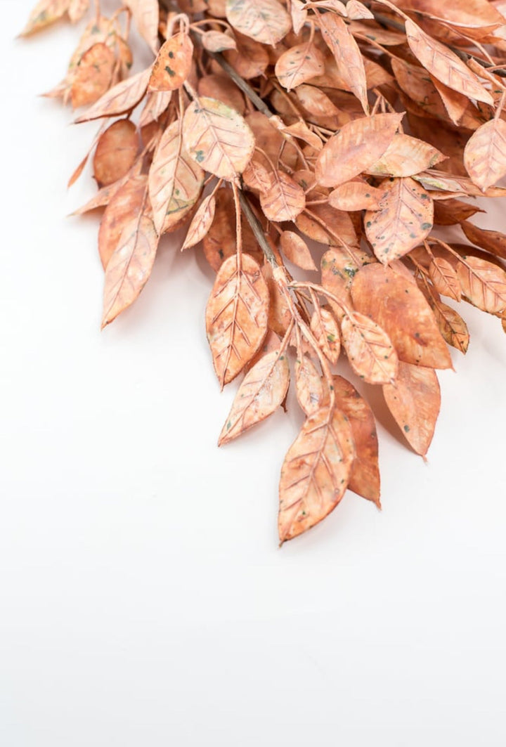 Creamy Peach Leaves Bundle - Greenery Market27874